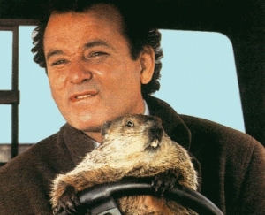 groundhog-day