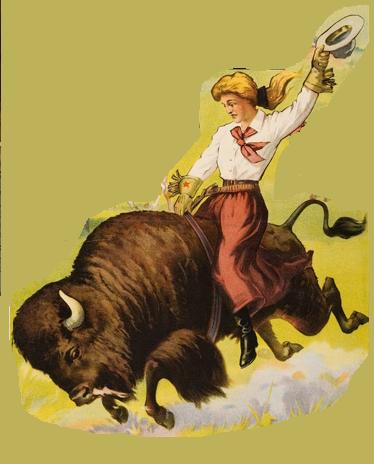 Buffalo rider – Our End of the 'Net